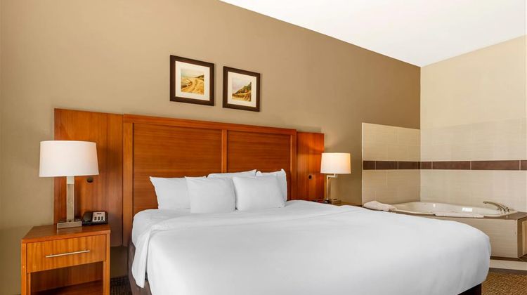 Comfort Inn & Suites Porter Room