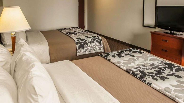 <b>Sleep Inn Room</b>. Images powered by <a href="https://iceportal.shijigroup.com/" title="IcePortal" target="_blank">IcePortal</a>.