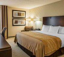 Comfort Inn Room