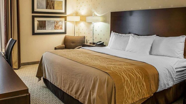 Comfort Inn Room