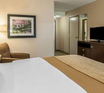 Comfort Inn Room