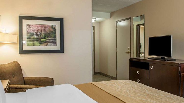 Comfort Inn Room