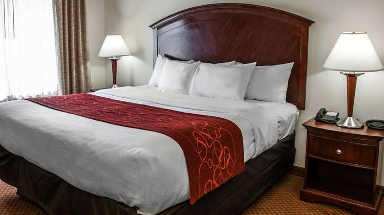 Comfort Suites Indianapolis Airport Room