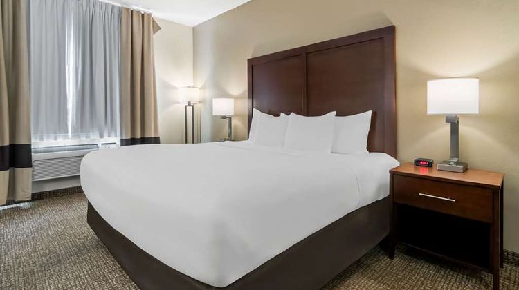 Comfort Inn Room