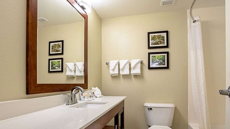 Comfort Inn Indianapolis North-Carmel Room