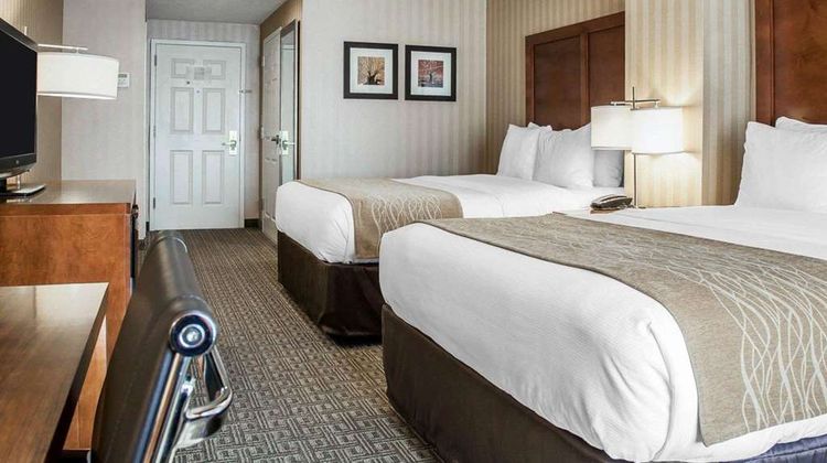 Comfort Inn & Suites Room