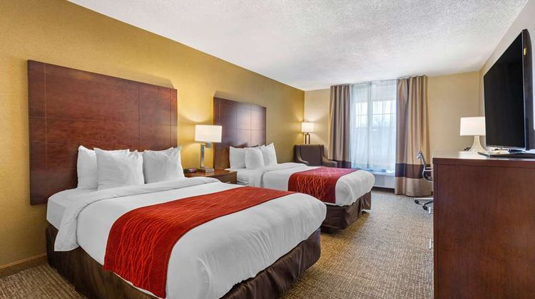 Comfort Inn Room