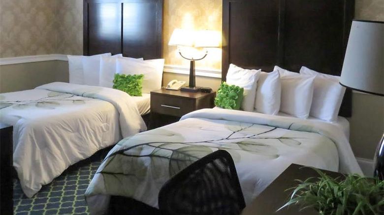 <b>Rodeway Inn Room</b>. Images powered by <a href="https://iceportal.shijigroup.com/" title="IcePortal" target="_blank">IcePortal</a>.