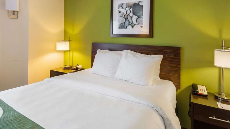 Quality Inn Grasonville Room