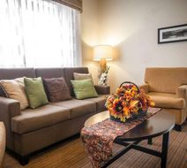 Sleep Inn & Suites Lobby