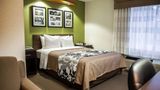 <b>Sleep Inn and Suites Emmitsburg Room</b>. Images powered by <a href="https://iceportal.shijigroup.com/" title="IcePortal" target="_blank">IcePortal</a>.