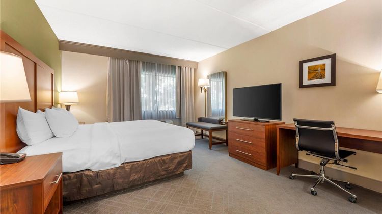 Comfort Inn & Suites Suite