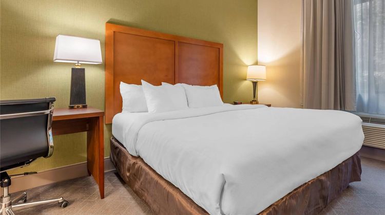 Comfort Inn & Suites Room