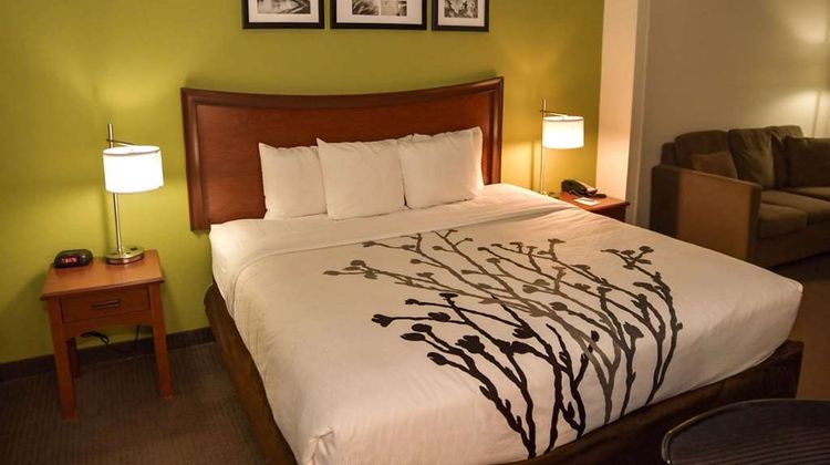 Sleep Inn & Suites of Laurel Room