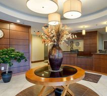 Comfort Inn & Suites Lobby