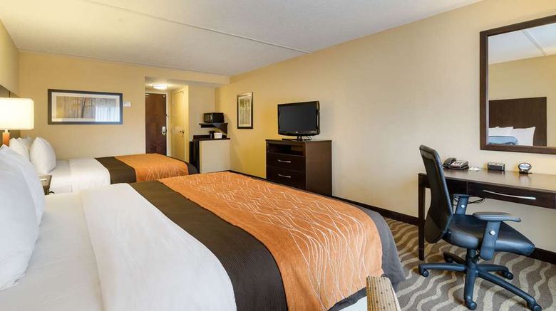 <b>Comfort Inn & Suites Room</b>. Images powered by <a href="https://iceportal.shijigroup.com/" title="IcePortal" target="_blank">IcePortal</a>.