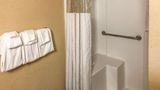 Rodeway Inn Camp Springs Room