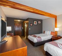 Quality Inn Salisbury North Room