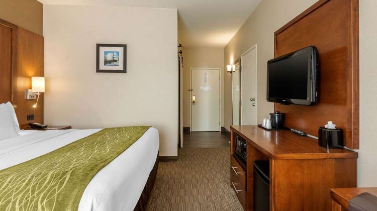 Comfort Inn Room