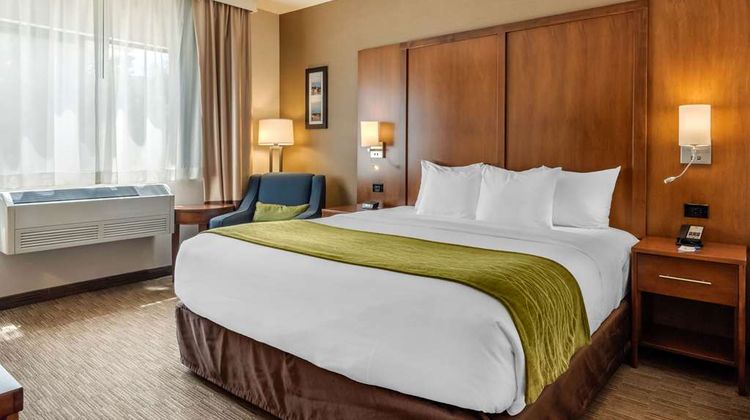 Comfort Inn Room