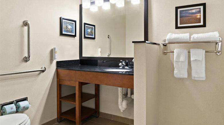<b>Comfort Suites Saginaw North Room</b>. Images powered by <a href="https://iceportal.shijigroup.com/" title="IcePortal" target="_blank">IcePortal</a>.