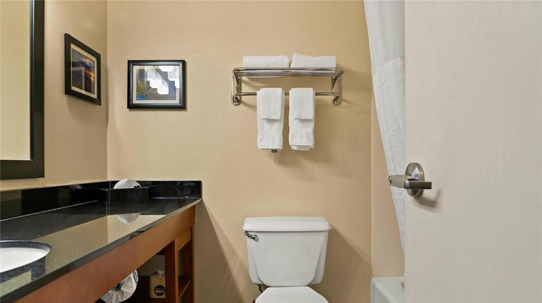 <b>Comfort Suites Saginaw North Room</b>. Images powered by <a href="https://iceportal.shijigroup.com/" title="IcePortal" target="_blank">IcePortal</a>.