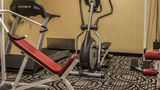 <b>Comfort Inn Birch Run Health</b>. Images powered by <a href="https://iceportal.shijigroup.com/" title="IcePortal" target="_blank">IcePortal</a>.