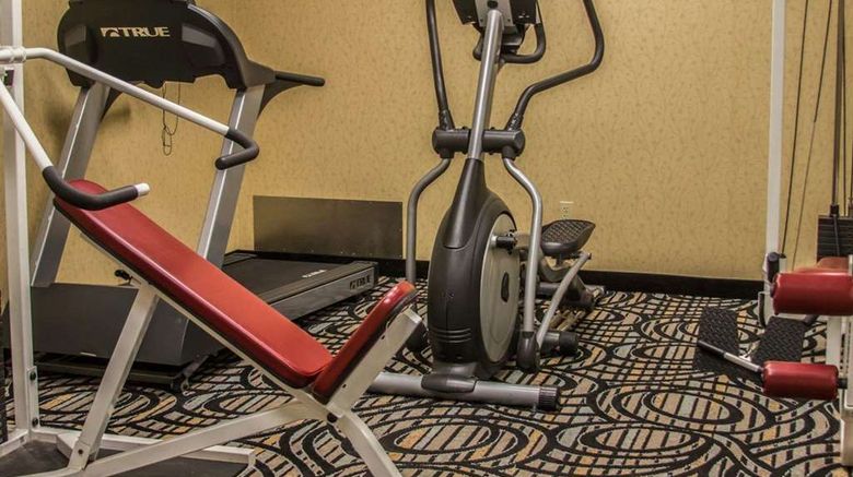 <b>Comfort Inn Birch Run Health</b>. Images powered by <a href="https://iceportal.shijigroup.com/" title="IcePortal" target="_blank">IcePortal</a>.