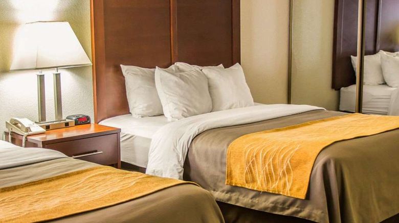 <b>Comfort Inn Birch Run Room</b>. Images powered by <a href="https://iceportal.shijigroup.com/" title="IcePortal" target="_blank">IcePortal</a>.