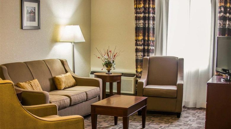 <b>Comfort Inn Birch Run Suite</b>. Images powered by <a href="https://iceportal.shijigroup.com/" title="IcePortal" target="_blank">IcePortal</a>.