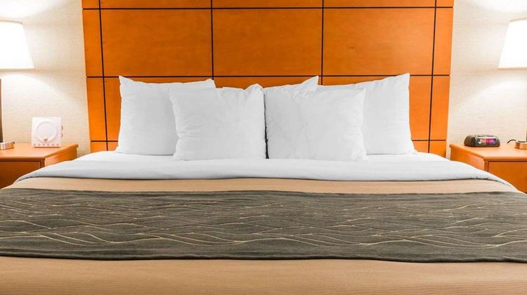 Comfort Inn Metro Airport Room