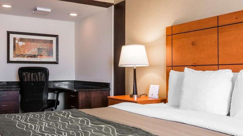 <b>Comfort Inn Metro Airport Room</b>. Images powered by <a href="https://iceportal.shijigroup.com/" title="IcePortal" target="_blank">IcePortal</a>.