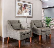 Comfort Inn Metro Airport Lobby