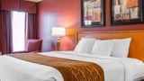 Comfort Inn & Suites & Conf Ctr Suite