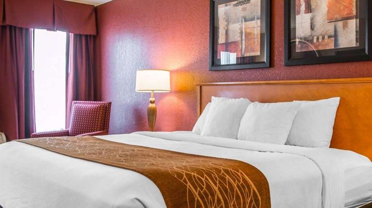 Comfort Inn & Suites & Conf Ctr Suite
