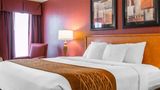 Comfort Inn & Suites & Conf Ctr Suite