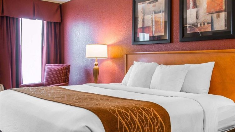 Comfort Inn & Suites & Conf Ctr Suite