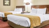 Comfort Inn Room