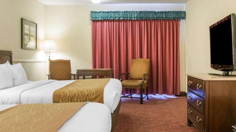 Comfort Inn Room