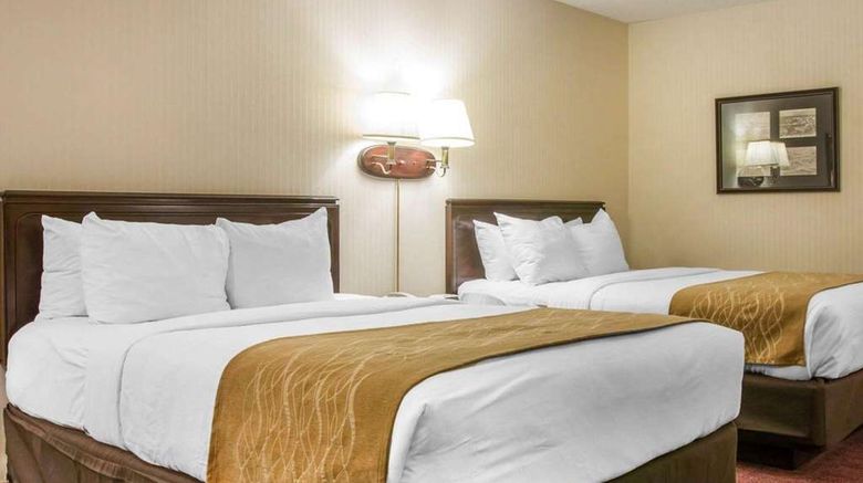 <b>Comfort Inn Room</b>. Images powered by <a href="https://iceportal.shijigroup.com/" title="IcePortal" target="_blank">IcePortal</a>.