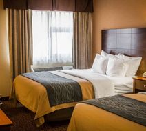 Quality Inn & Suites Room