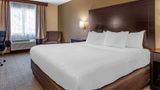 Comfort Inn & Suites Paw Paw Room
