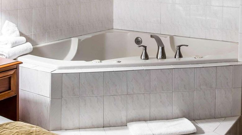 <b>Quality Inn Southfield Room</b>. Images powered by <a href="https://iceportal.shijigroup.com/" title="IcePortal" target="_blank">IcePortal</a>.