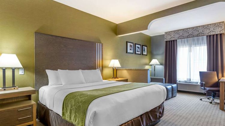 Comfort Suites Southgate Detroit Room