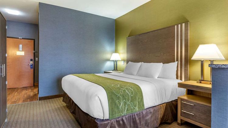 Comfort Suites Southgate Detroit Room