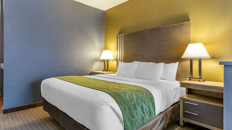 Comfort Suites Southgate Detroit Room