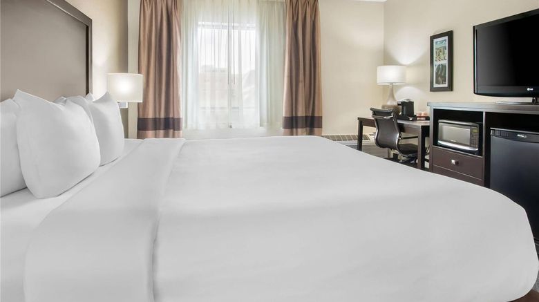<b>Comfort Inn Detroit Room</b>. Images powered by <a href="https://iceportal.shijigroup.com/" title="IcePortal" target="_blank">IcePortal</a>.