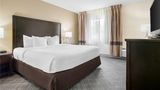 Comfort Inn Detroit Room