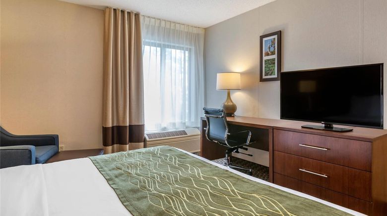 <b>Comfort Inn Charlotte Room</b>. Images powered by <a href="https://iceportal.shijigroup.com/" title="IcePortal" target="_blank">IcePortal</a>.