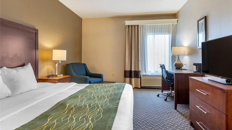 Comfort Inn Charlotte Room